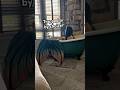 Mermaid Draws A Bath After A Long Day Mermaid Bathtub Moody Romantic Mermaidmovie Fantasy 