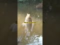keseruan mancing liar