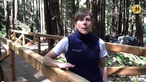 Jessica Neff of Save the Redwoods League on the ne...