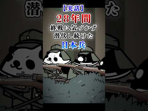 【実話】終戦に気づかず28年間潜伏し続けた日本兵 #plottアニメ #テイペン