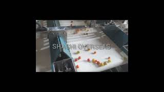 cherry Tomato grading machine by Shashi Overseas +91-9416995445