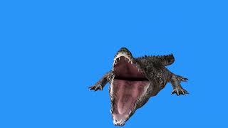 Футажи Хромакей Животных Тигр Волк Оборотень Скорпион Змея Обезьяна Крокодил Скачать для видео