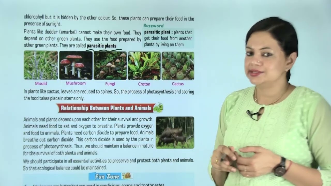 Ch 6 | Animation Junction | Science | Class 04 | Plants-Food Producers | For children