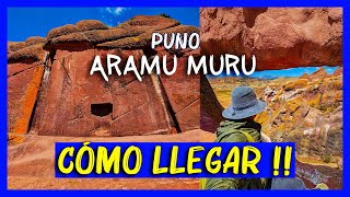 Portal Aramu Muru 💥 COMO LLEGAR desde Puno 🛣️ Bosque de piedras Hayu Marca - Willka Uta Peru turismo