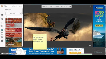 Erasing Part of a Picture on Picmonkey