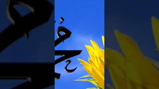 Madinay Ka Safar Ha Or Min Namdida Namdida Naat In Beautiful Voice Of Hafiz Abdul Rehman