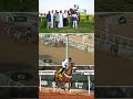 Shaikhat Al Altaa takes Race 4 (75,000 SAR) Taif Arabian Horses Derby 🐎 | #SaudiRacing | #TaifSeason