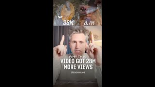 Why this video went viral
