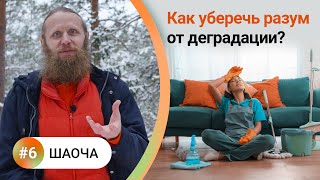 Как жить в балансе? - 6. ШАОЧА. 4 вида чистоты для мощной медитации. Как уберечь разум от деградации