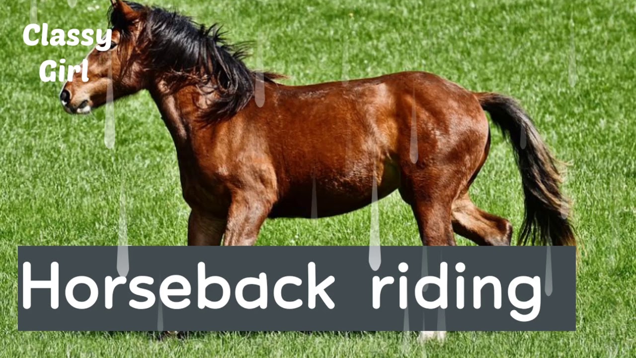 Horse ridersAmazing soundmusic horse riding YouTube