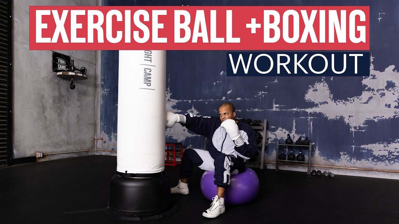 Seated Punches – WorkoutLabs Exercise Guide
