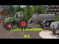 Ls17  ludis landleben 8  glle fahren und streuer befllen