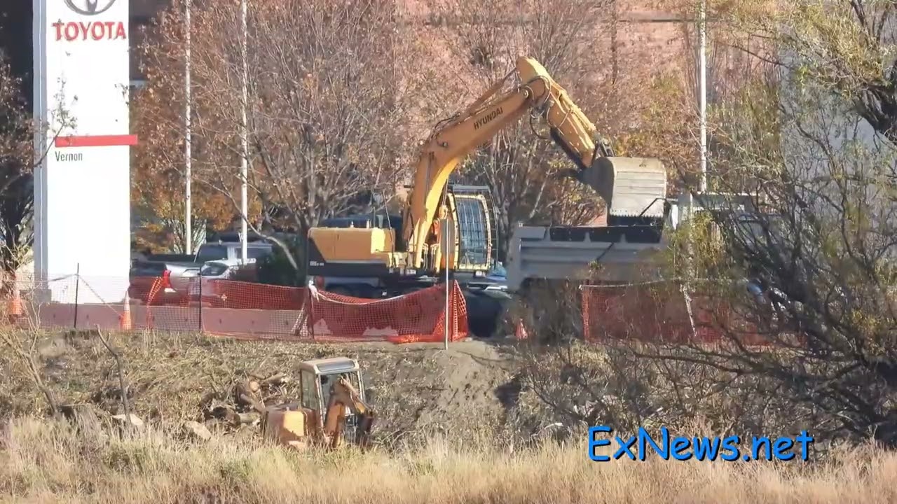 Vernon Trees Cut Down