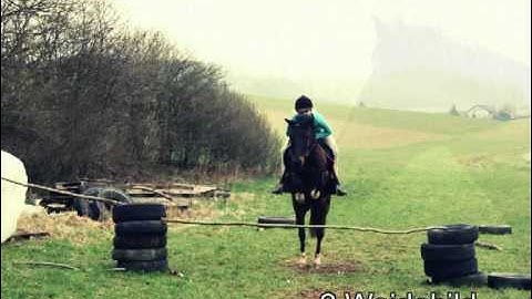 Walking im Memvis ♥