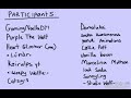 Beginning of video