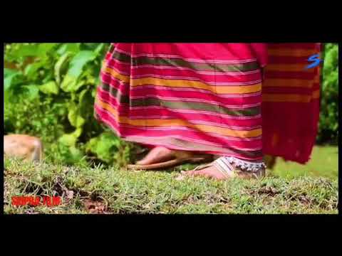Santil Video 2018(1)