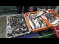 La vida en el mercado de mariscos 17 de Diciembre