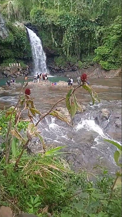 story wa pemandangan air terjun #shorts #story #fypシ #fyp #viralshorts #slebew #pemandangan