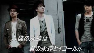 Chicago Poodle - Is This LOVE?