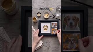 dont wait until hes gone. comment PAW for the link 🐾 #beagle #seniordog #petmemorial