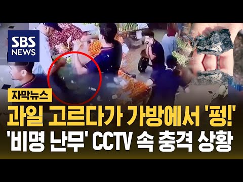 &amp;#39;…&amp;#39;비명 난무&amp;#39; <strong>CCTV</strong> 속 충격 상황 (자막뉴스) / <strong>SBS</strong>