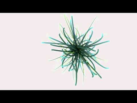 Organic Spline Particles