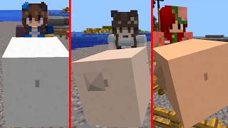 All Girls In Hungercraft, Minecraft Digestion Mod For 1.20.1
