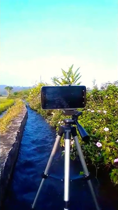 belajar cinematic sama @mico cw