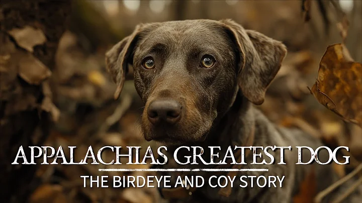 Appalachia Story The Ballad of Birdeye and Coy