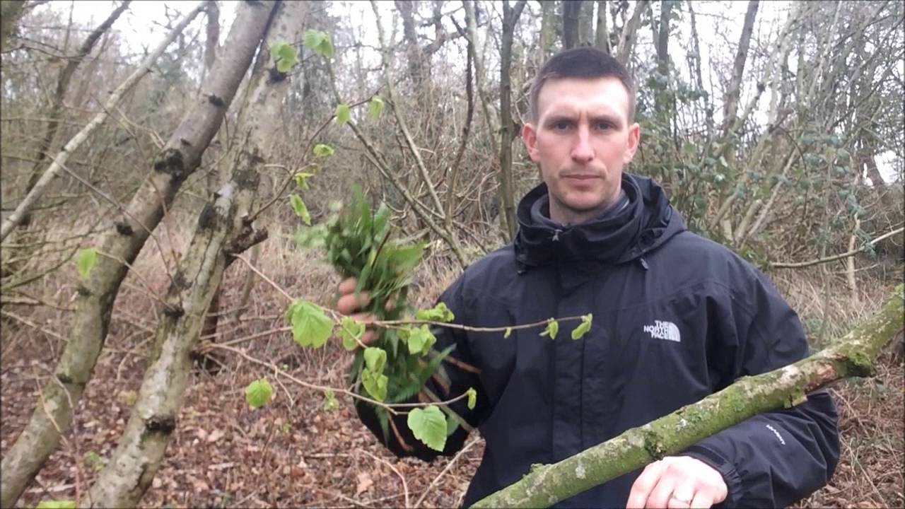 Saving water from condensation