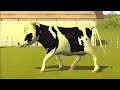 El Pollito pío 3d - el Toro y el Tractor de la Granja part#465 -el Pollito y el Tractor de la Granja