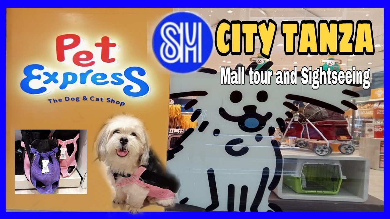 BUYING AFFORDABLE PET CARRIER BAG FOR TRAVELLING SM CITY TANZA PET