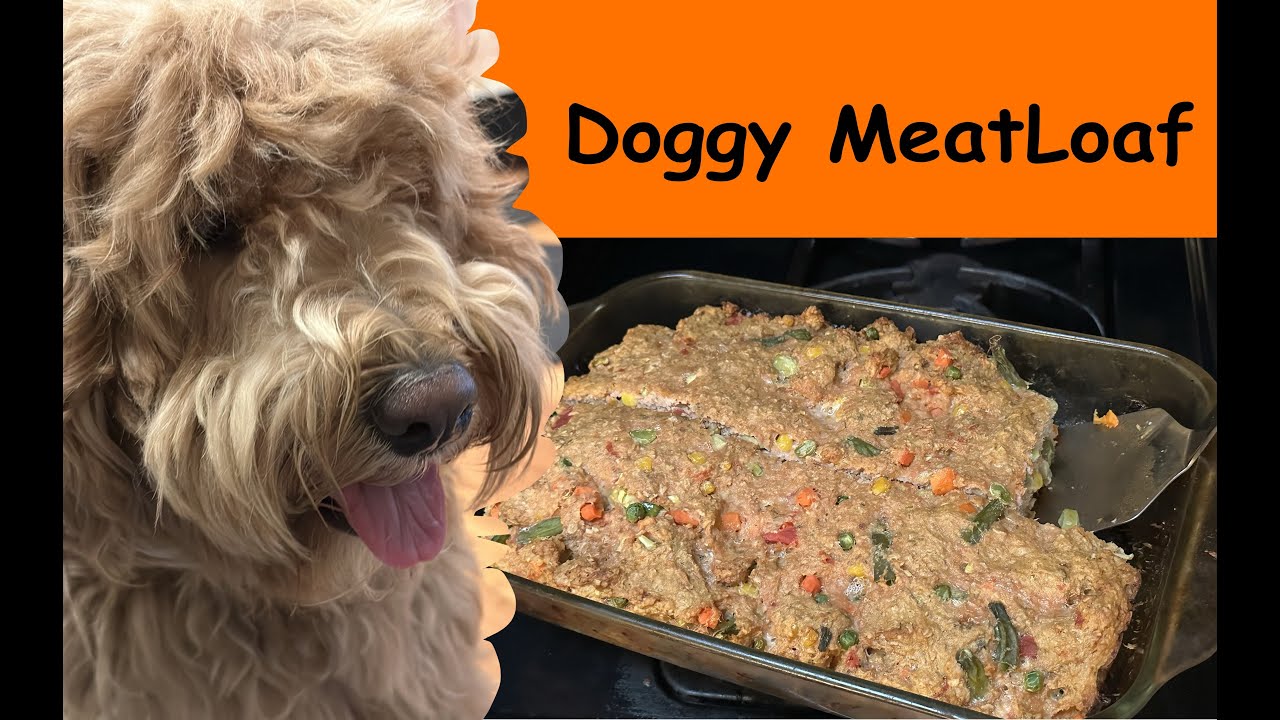 HAND MADE DOG FOOD TURKEY MEATLOAF YouTube