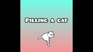 Basic Feline Restraint Techniques