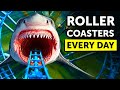 What Happens to Your Body If You Ride Roller Coasters Everyday