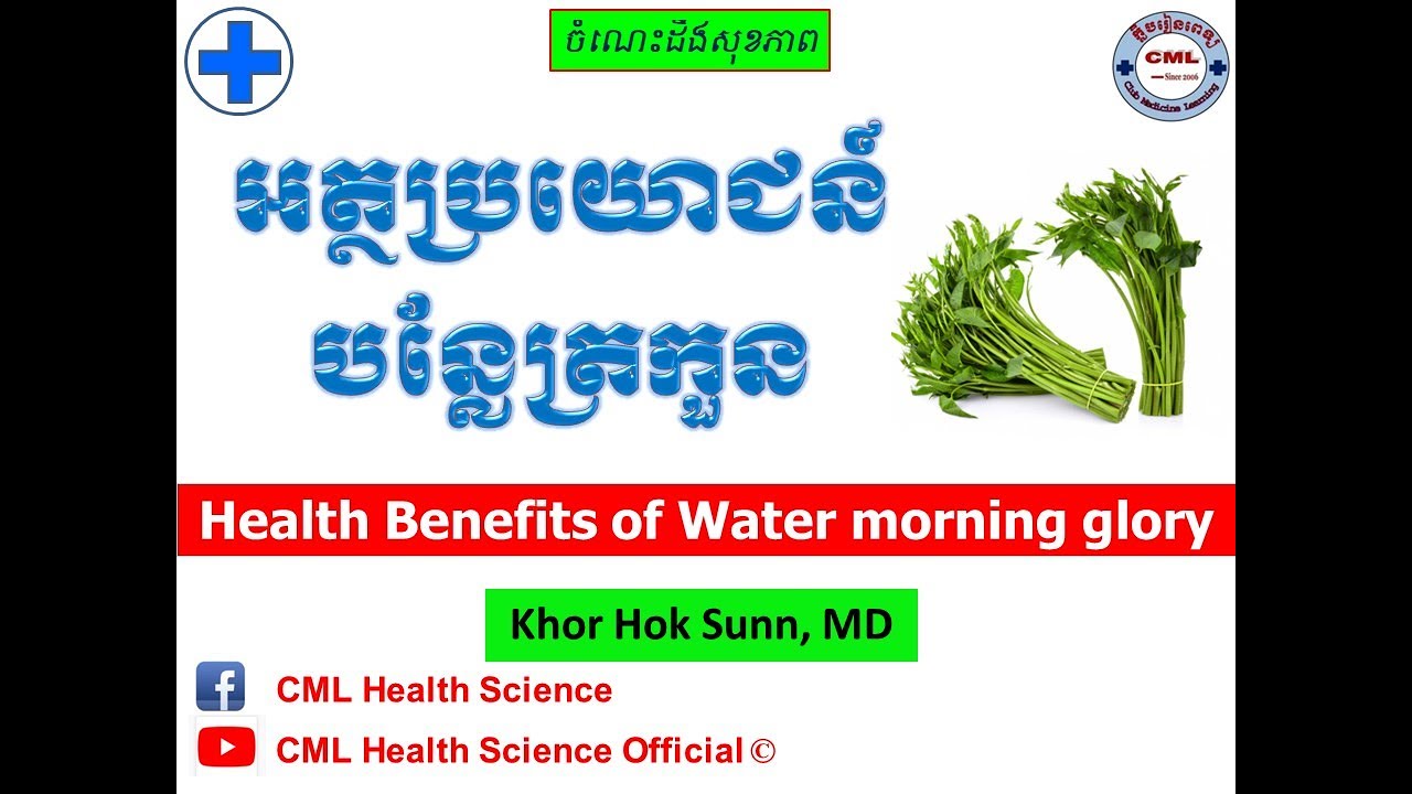 អត្ថប្រយោជន៍បន្លែត្រកួន l Health Benefits of Water morning glory l l
