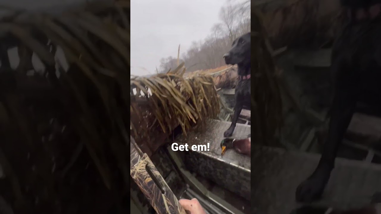 She’s always ready. Good girl 