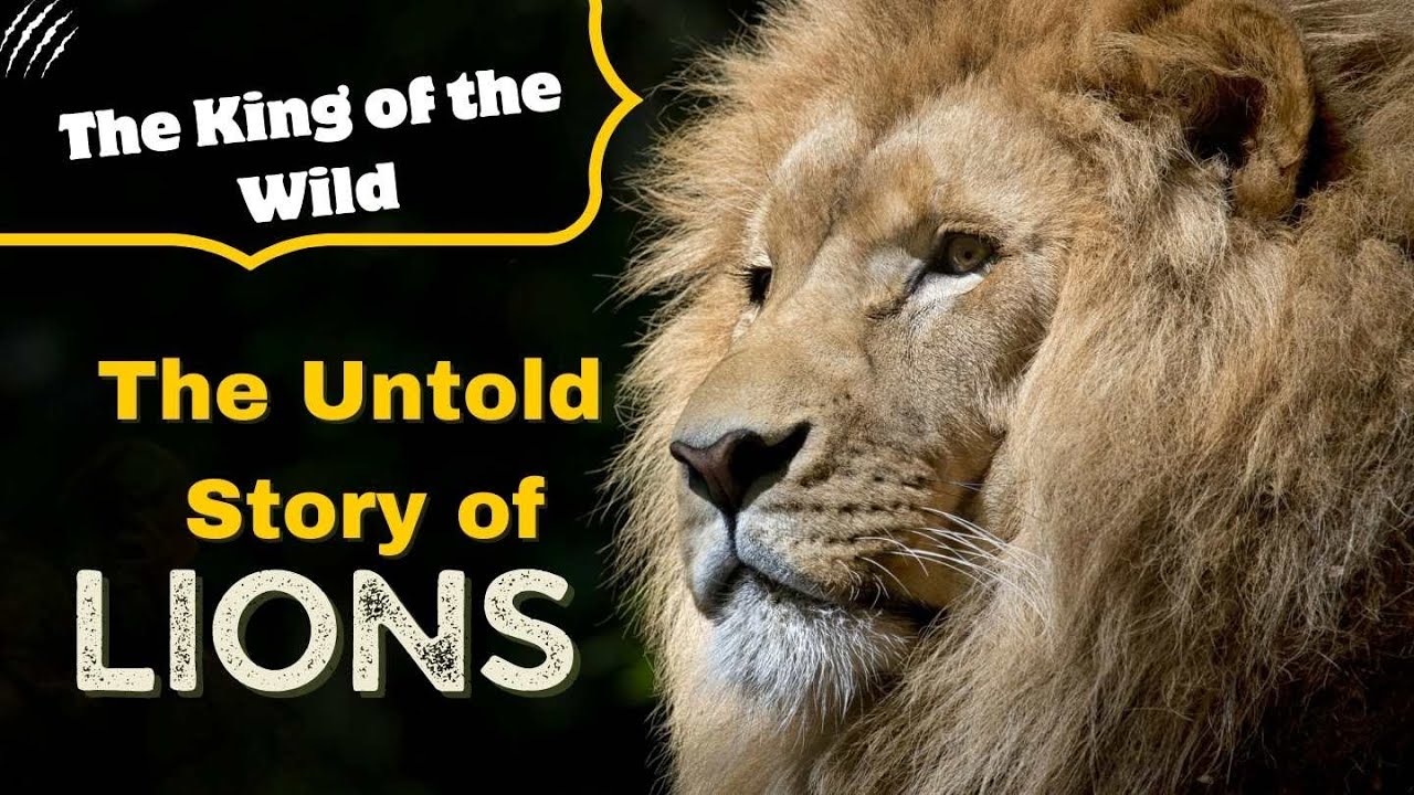 𝐓𝐡𝐞 𝐊𝐢𝐧𝐠 𝐨𝐟 𝐭𝐡𝐞 𝐖𝐢𝐥𝐝: 𝐓𝐡𝐞 𝐔𝐧𝐭𝐨𝐥𝐝 𝐒𝐭𝐨𝐫𝐲 𝐨𝐟 𝐋𝐢𝐨𝐧𝐬