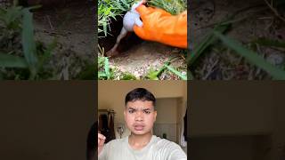 Luckily You Guys Helped, Otherwise I Would Have Been In Pain