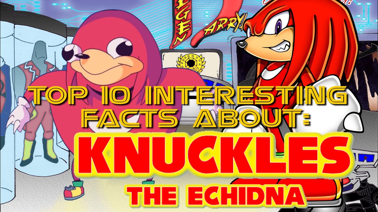 Top 10 Interesting Facts about Knuckles 