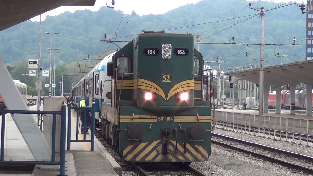 SŽ 661-164 z izrednim vlakom