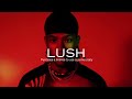 [FREE] Afrobeat instrumental 2024 Tar1q x Victony Type beat "LUSH" Afrobeat instrumental