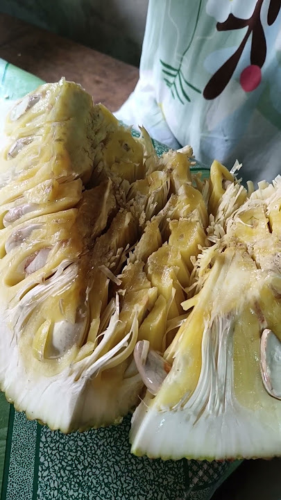 #jackfruit #langka #lamian kaayo#shortsfeed #shorts #fruit