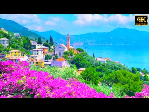 Pieve Ligure - One of the most beautiful jewels of the Italian Riviera🇮🇹Cinematic Walking 4K60fps