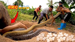 Celebrity Terrified, Two Fierce Giant Python that lays 100 Eggs attacked the Girl in the Cave Wealth