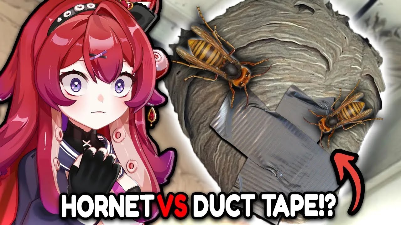 ANGRY HORNETS VS DUCT TAPE!? ( theyre not happy... ) | Wasp Hunter Reaction