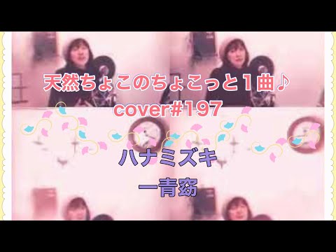 ハナミズキ/一青窈【cover】ちょこっと1曲♪2023.4.23#197