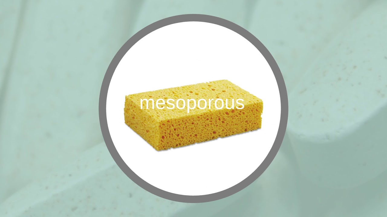 Mesoporous Silica Nanoparticles