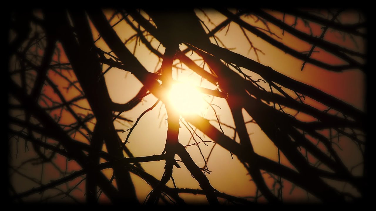 EXISTERE (2021) - EXPERIMENTAL - SHORT FILM