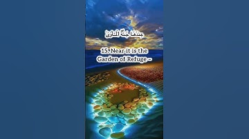 Surah Najm | 13 - 19 #allah #quran #surahnajm #سورة_النجم #hamzaboudib #trending #peace #viralvideo